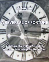 cover of a reversal of fortune