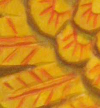 detail of gryphon