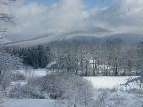 photo of the shire