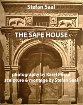 cover of the safe house